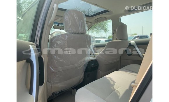 Buy Import Toyota Prado Brown Car in Import - Dubai in Abhasia Buy Import Toyota Prado Brown Car in Import - Dubai in Abhasia