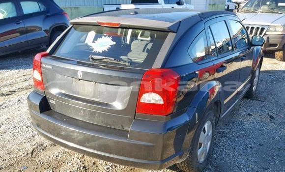 Buy Used Dodge Caliber Other Car in Tbilisi in Tbilisi Buy Used Dodge Caliber Other Car in Tbilisi in Tbilisi