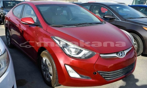 Buy Import Hyundai Elantra Red Car in Import - Dubai in Abhasia Buy Import Hyundai Elantra Red Car in Import - Dubai in Abhasia