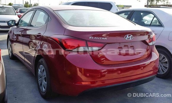 Buy Import Hyundai Elantra Red Car in Import - Dubai in Abhasia Buy Import Hyundai Elantra Red Car in Import - Dubai in Abhasia