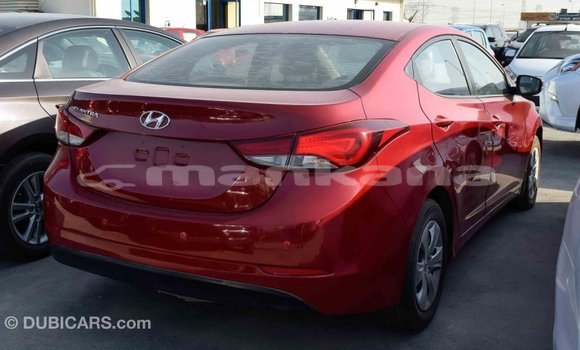 Buy Import Hyundai Elantra Red Car in Import - Dubai in Abhasia Buy Import Hyundai Elantra Red Car in Import - Dubai in Abhasia