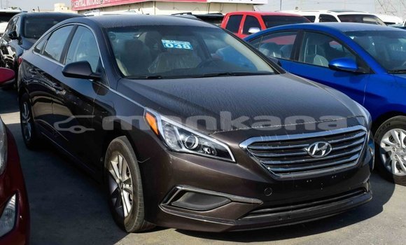 Buy Import Hyundai Sonata Brown Car in Import - Dubai in Abhasia Buy Import Hyundai Sonata Brown Car in Import - Dubai in Abhasia