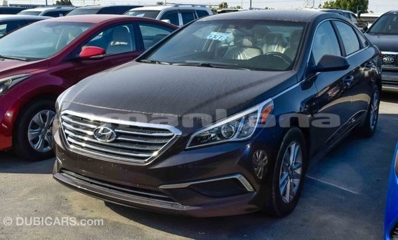 Buy Import Hyundai Sonata Brown Car in Import - Dubai in Abhasia Buy Import Hyundai Sonata Brown Car in Import - Dubai in Abhasia