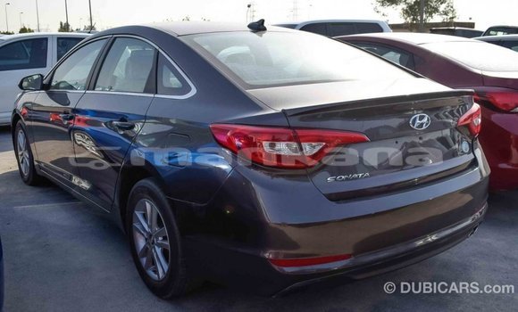 Buy Import Hyundai Sonata Brown Car in Import - Dubai in Abhasia Buy Import Hyundai Sonata Brown Car in Import - Dubai in Abhasia