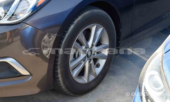 Buy Import Hyundai Sonata Brown Car in Import - Dubai in Abhasia Buy Import Hyundai Sonata Brown Car in Import - Dubai in Abhasia