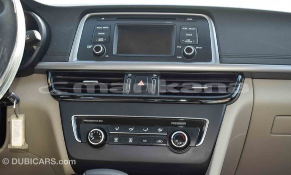 Buy Import Kia Optima Blue Car in Import - Dubai in Abhasia Buy Import Kia Optima Blue Car in Import - Dubai in Abhasia