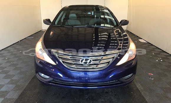 Buy Used Hyundai Sonata Blue Car in Tbilisi in Tbilisi Buy Used Hyundai Sonata Blue Car in Tbilisi in Tbilisi
