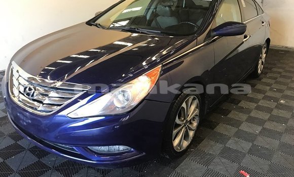 Buy Used Hyundai Sonata Blue Car in Tbilisi in Tbilisi Buy Used Hyundai Sonata Blue Car in Tbilisi in Tbilisi