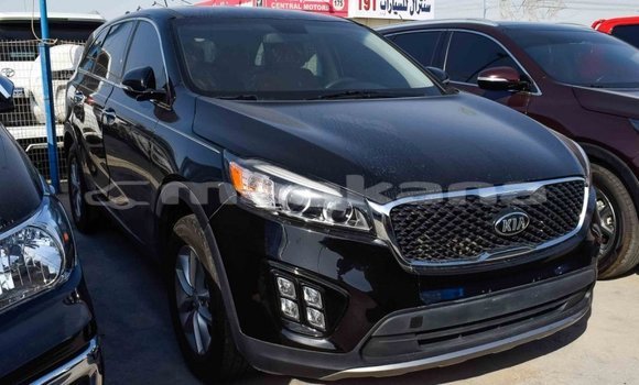 Buy Import Kia Sorento Black Car in Import - Dubai in Abhasia Buy Import Kia Sorento Black Car in Import - Dubai in Abhasia