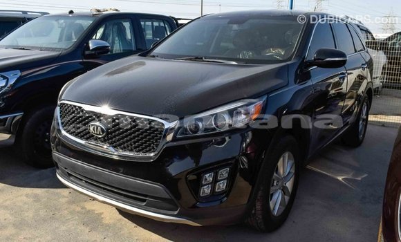 Buy Import Kia Sorento Black Car in Import - Dubai in Abhasia Buy Import Kia Sorento Black Car in Import - Dubai in Abhasia