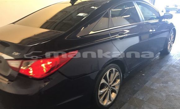 Buy Used Hyundai Sonata Blue Car in Tbilisi in Tbilisi Buy Used Hyundai Sonata Blue Car in Tbilisi in Tbilisi