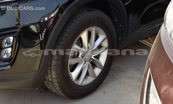 Buy Import Kia Sorento Black Car in Import - Dubai in Abhasia Buy Import Kia Sorento Black Car in Import - Dubai in Abhasia