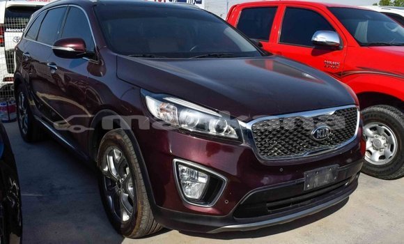 Buy Import Kia Sorento Brown Car in Import - Dubai in Abhasia Buy Import Kia Sorento Brown Car in Import - Dubai in Abhasia