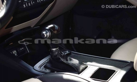 Buy Import Kia Sorento Brown Car in Import - Dubai in Abhasia Buy Import Kia Sorento Brown Car in Import - Dubai in Abhasia