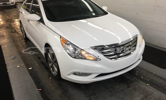 Buy Used Hyundai Sonata White Car in Tbilisi in Tbilisi