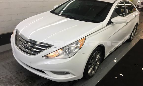 Buy Used Hyundai Sonata White Car in Tbilisi in Tbilisi Buy Used Hyundai Sonata White Car in Tbilisi in Tbilisi