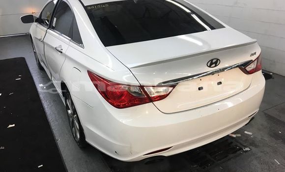 Buy Used Hyundai Sonata White Car in Tbilisi in Tbilisi Buy Used Hyundai Sonata White Car in Tbilisi in Tbilisi