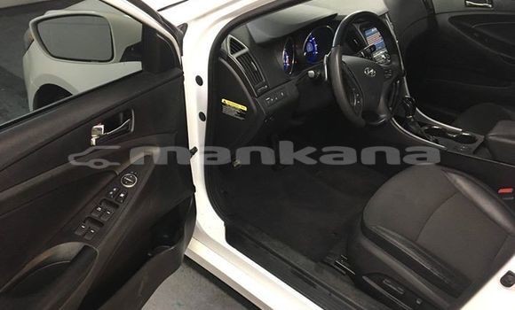 Buy Used Hyundai Sonata White Car in Tbilisi in Tbilisi Buy Used Hyundai Sonata White Car in Tbilisi in Tbilisi