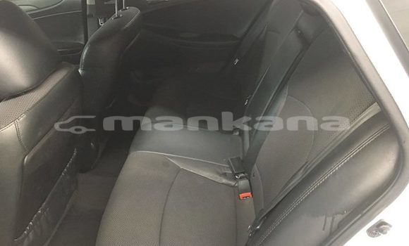 Buy Used Hyundai Sonata White Car in Tbilisi in Tbilisi Buy Used Hyundai Sonata White Car in Tbilisi in Tbilisi