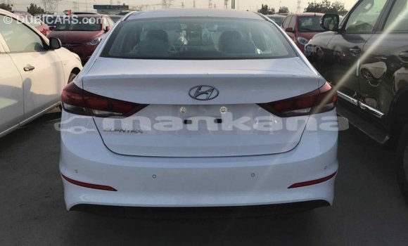 Buy Import Hyundai Elantra White Car in Import - Dubai in Abhasia Buy Import Hyundai Elantra White Car in Import - Dubai in Abhasia