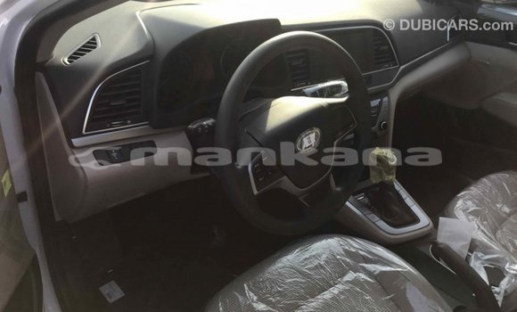 Buy Import Hyundai Elantra White Car in Import - Dubai in Abhasia Buy Import Hyundai Elantra White Car in Import - Dubai in Abhasia