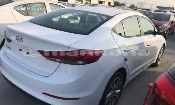 Buy Import Hyundai Elantra White Car in Import - Dubai in Abhasia Buy Import Hyundai Elantra White Car in Import - Dubai in Abhasia
