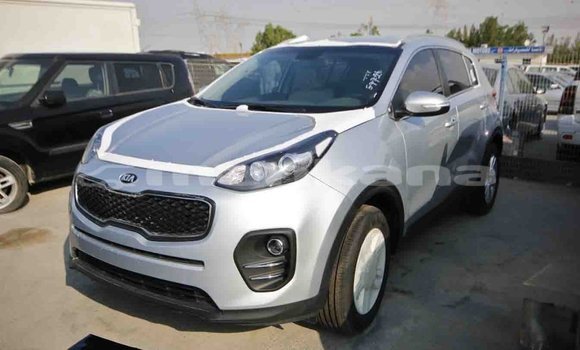 Buy Import Kia Sportage Other Car in Import - Dubai in Abhasia Buy Import Kia Sportage Other Car in Import - Dubai in Abhasia