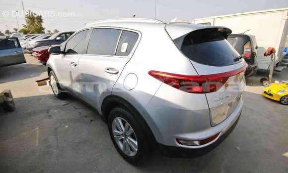 Buy Import Kia Sportage Other Car in Import - Dubai in Abhasia Buy Import Kia Sportage Other Car in Import - Dubai in Abhasia