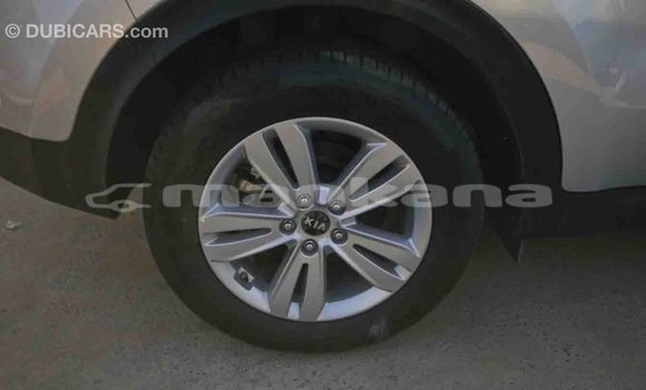 Buy Import Kia Sportage Other Car in Import - Dubai in Abhasia Buy Import Kia Sportage Other Car in Import - Dubai in Abhasia