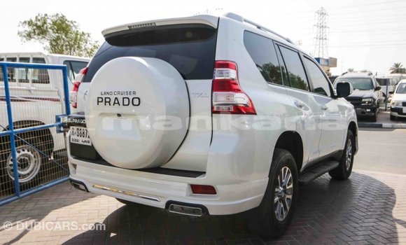 Buy Import Toyota Prado White Car in Import - Dubai in Abhasia Buy Import Toyota Prado White Car in Import - Dubai in Abhasia