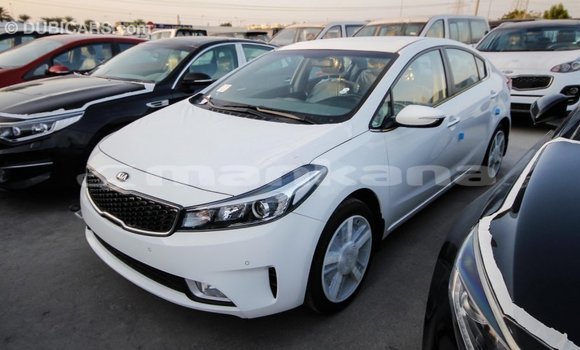 Buy Import Kia Cerato White Car in Import - Dubai in Abhasia Buy Import Kia Cerato White Car in Import - Dubai in Abhasia