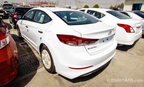 Buy Import Hyundai Elantra White Car in Import - Dubai in Abhasia Buy Import Hyundai Elantra White Car in Import - Dubai in Abhasia