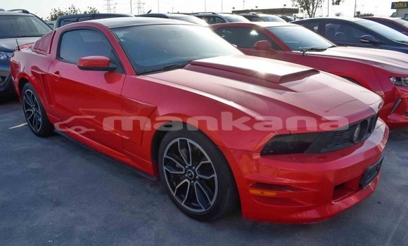 Buy Import Ford Mustang Red Car in Import - Dubai in Abhasia Buy Import Ford Mustang Red Car in Import - Dubai in Abhasia