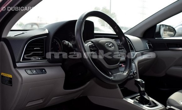 Buy Import Hyundai Elantra Other Car in Import - Dubai in Abhasia Buy Import Hyundai Elantra Other Car in Import - Dubai in Abhasia