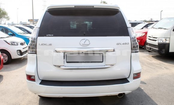 Buy Import Lexus GX White Car in Import - Dubai in Abhasia Buy Import Lexus GX White Car in Import - Dubai in Abhasia