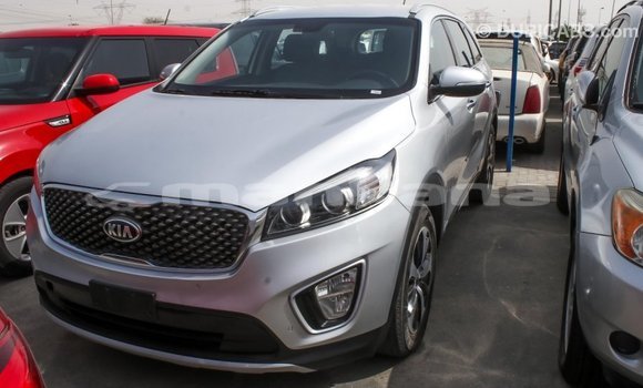Buy Import Kia Sorento Other Car in Import - Dubai in Abhasia Buy Import Kia Sorento Other Car in Import - Dubai in Abhasia