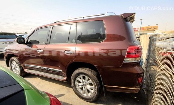 Buy Import Toyota Land Cruiser Brown Car in Import - Dubai in Abhasia Buy Import Toyota Land Cruiser Brown Car in Import - Dubai in Abhasia