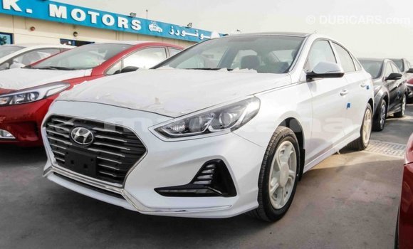 Buy Import Hyundai Sonata White Car in Import - Dubai in Abhasia Buy Import Hyundai Sonata White Car in Import - Dubai in Abhasia