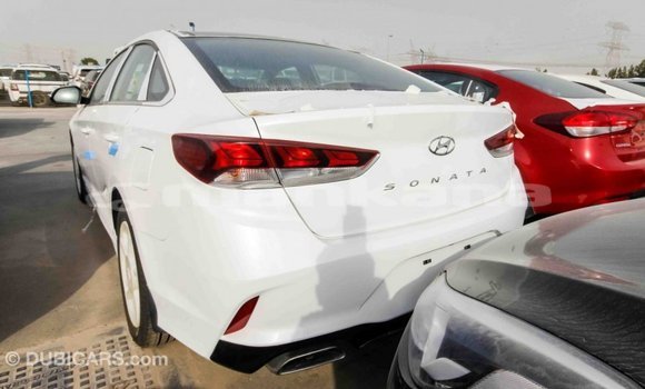 Buy Import Hyundai Sonata White Car in Import - Dubai in Abhasia Buy Import Hyundai Sonata White Car in Import - Dubai in Abhasia