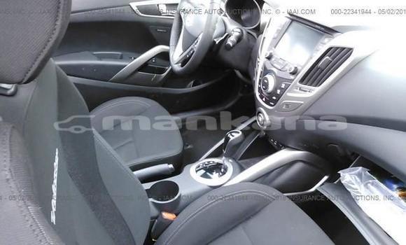 Buy Used Hyundai Veloster Black Car in Tbilisi in Tbilisi Buy Used Hyundai Veloster Black Car in Tbilisi in Tbilisi