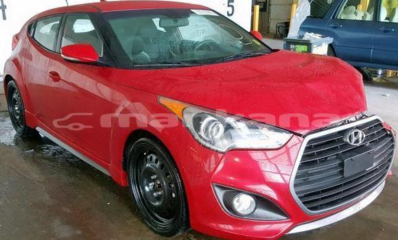 Medium with watermark 51345903 2282971798389411 4437061701963087872 n