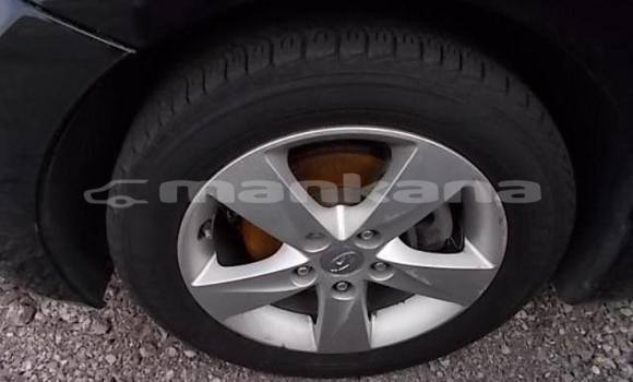 Buy Used Hyundai Elantra Black Car in Tbilisi in Tbilisi Buy Used Hyundai Elantra Black Car in Tbilisi in Tbilisi