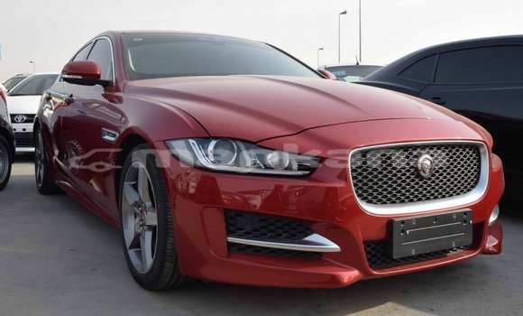 Buy Import Jaguar XE Red Car in Import - Dubai in Abhasia