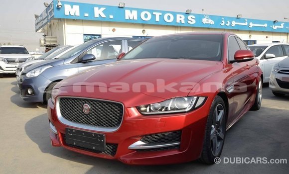 Buy Import Jaguar XE Red Car in Import - Dubai in Abhasia Buy Import Jaguar XE Red Car in Import - Dubai in Abhasia