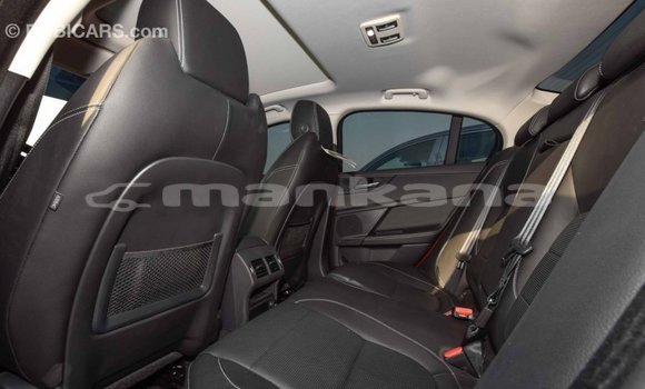Buy Import Jaguar XE Red Car in Import - Dubai in Abhasia Buy Import Jaguar XE Red Car in Import - Dubai in Abhasia