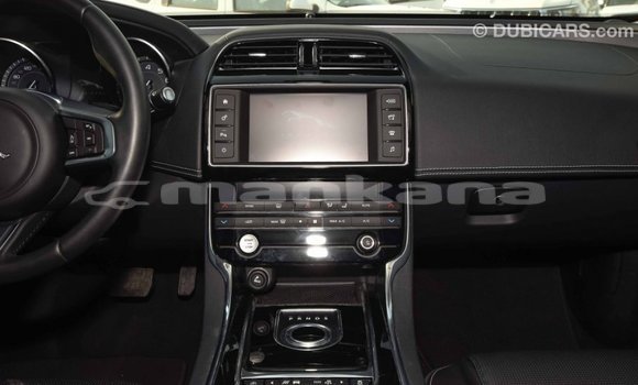 Buy Import Jaguar XE Red Car in Import - Dubai in Abhasia Buy Import Jaguar XE Red Car in Import - Dubai in Abhasia