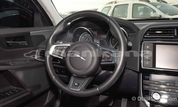 Buy Import Jaguar XE Red Car in Import - Dubai in Abhasia Buy Import Jaguar XE Red Car in Import - Dubai in Abhasia