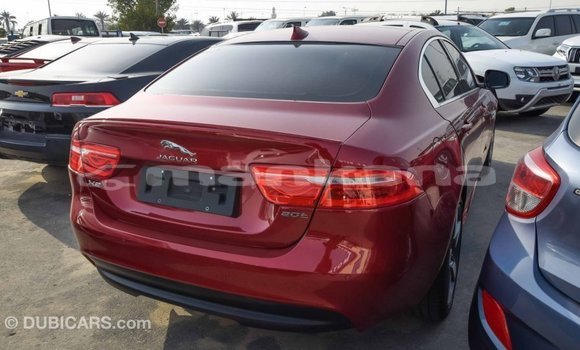 Buy Import Jaguar XE Red Car in Import - Dubai in Abhasia Buy Import Jaguar XE Red Car in Import - Dubai in Abhasia