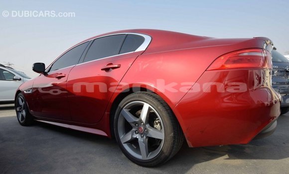 Buy Import Jaguar XE Red Car in Import - Dubai in Abhasia Buy Import Jaguar XE Red Car in Import - Dubai in Abhasia