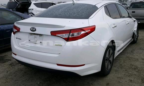 Buy Used Kia Optima White Car in Tbilisi in Tbilisi Buy Used Kia Optima White Car in Tbilisi in Tbilisi